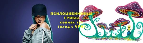 ПСИЛОЦИБИНОВЫЕ ГРИБЫ Алексеевка