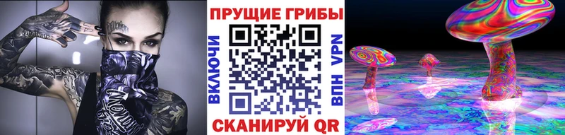 купить закладку  ОМГ ОМГ ONION  Галлюциногенные грибы GOLDEN TEACHER  Яровое 