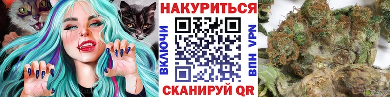 Канабис планчик Яровое